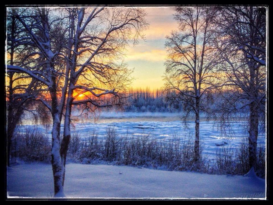 Susitna River Lodging, Suites Talkeetna Ngoại thất bức ảnh